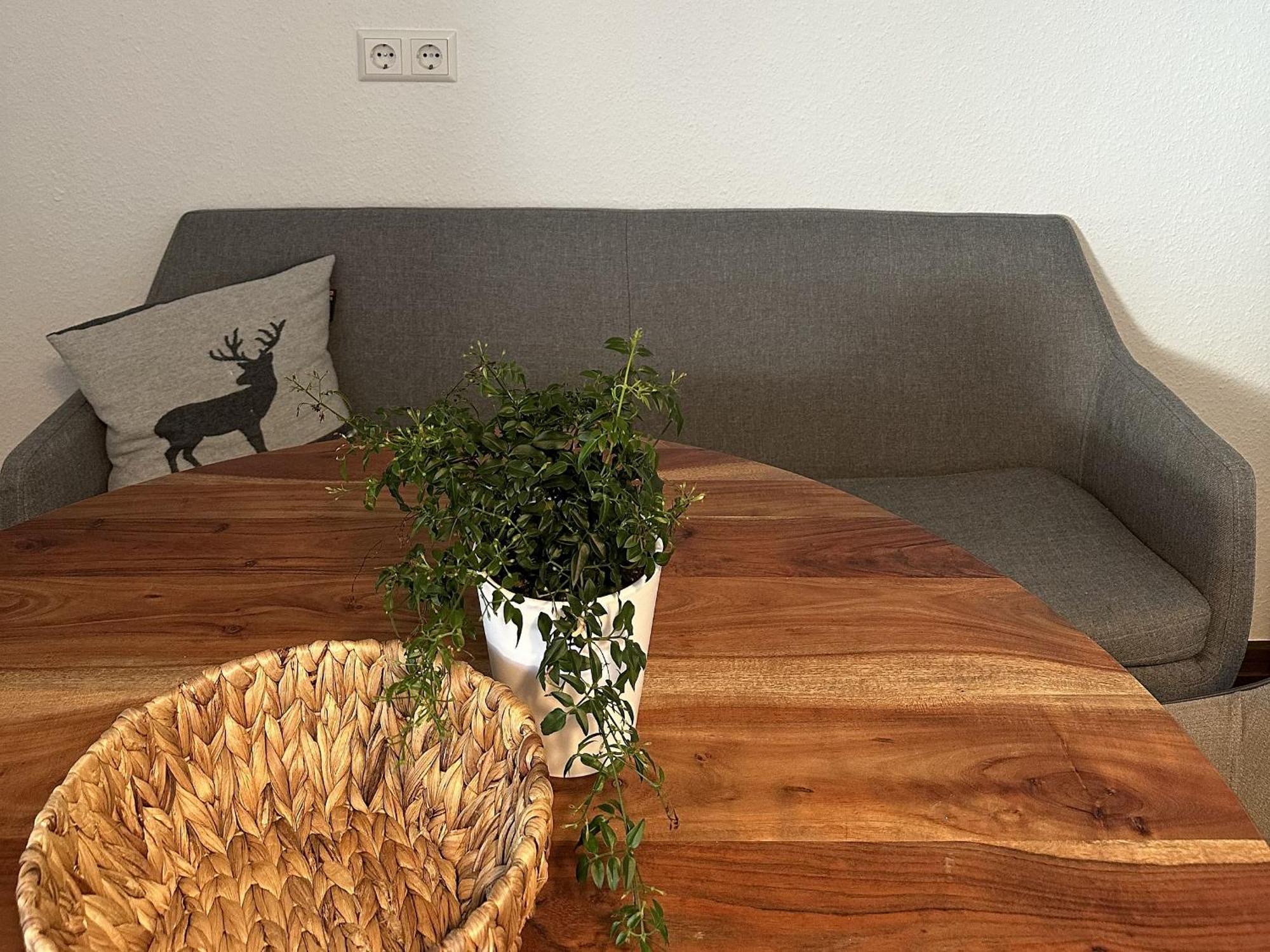 발드키르히 Haus Albi 아파트 외부 사진