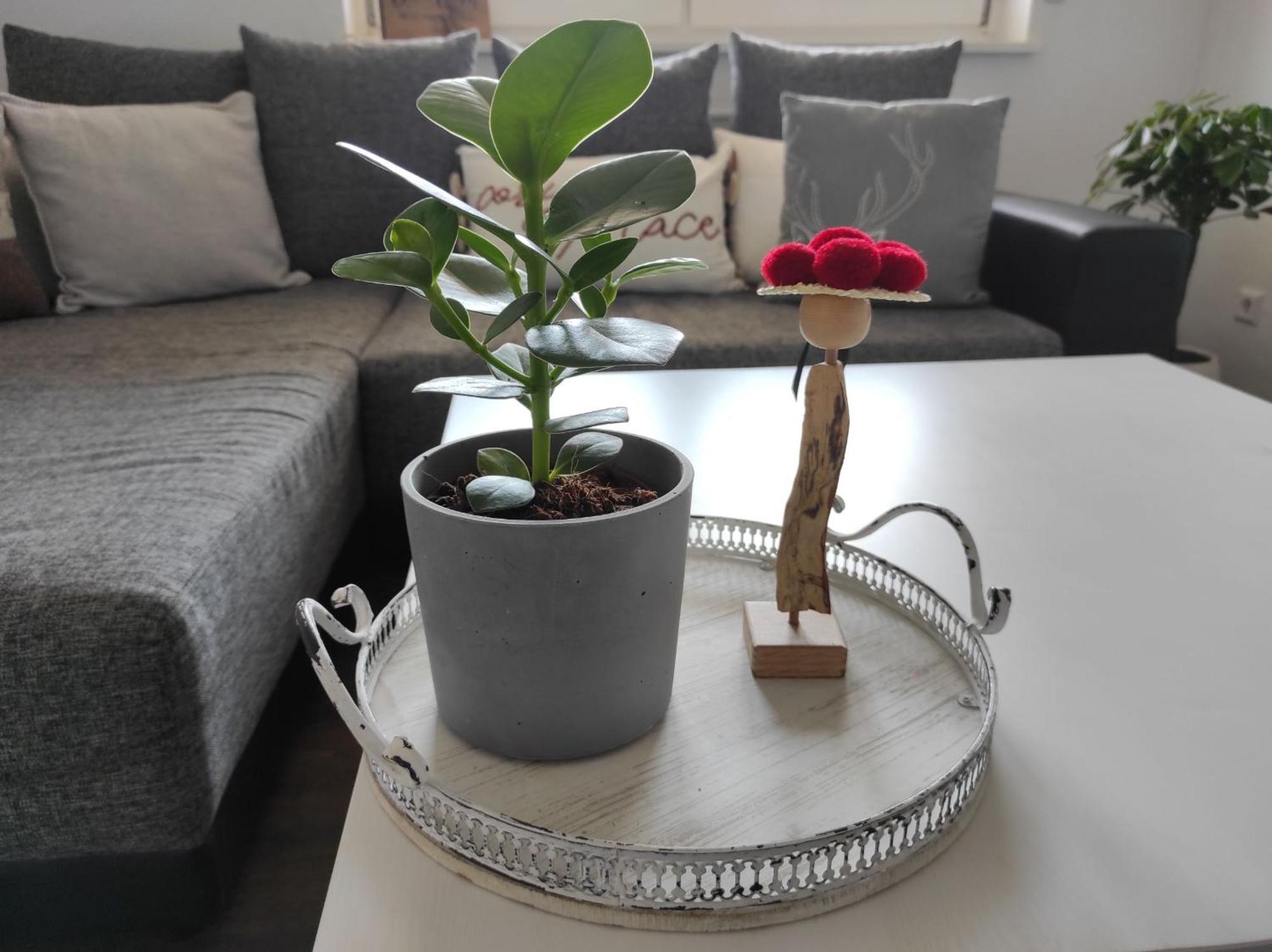 발드키르히 Haus Albi 아파트 외부 사진